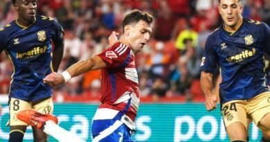 Un solvente Granada CF