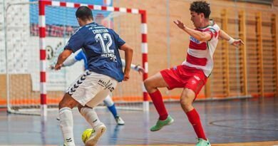 Sima Granada FS