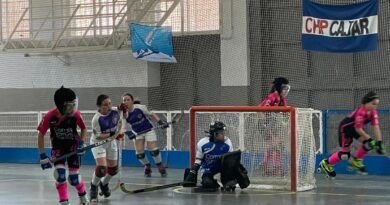 El hockey patines vivió