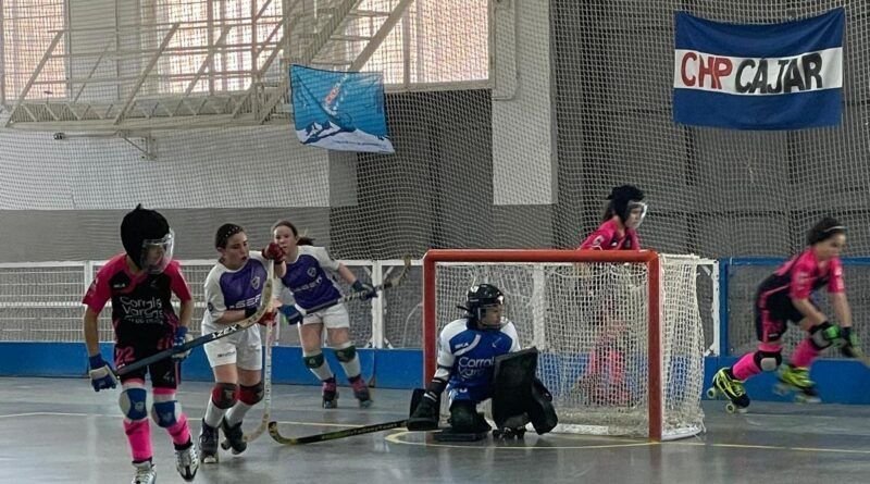 El hockey patines vivió
