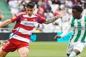 La hecatombe granadinista