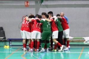 HEROGRA Albolote FS pierde su último