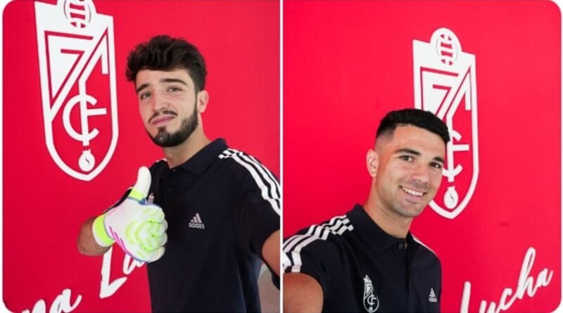 Doble incorporación en el proyecto
