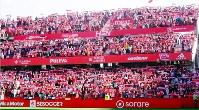La manifestación y la concentración granadinistas