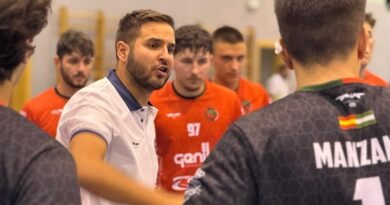 BM Ciudad Granada masculino