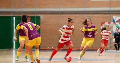 Fundación UAPO Granada FS