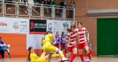 Fundación UAPO Granada FS