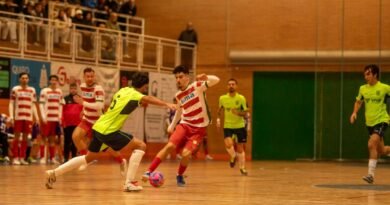 Un eficaz y brillante Sima