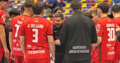 BM Ciudad de Granada masculino