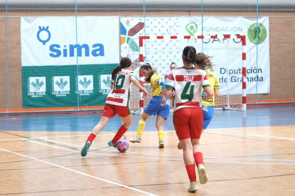 Fundación UAPO Granada FS