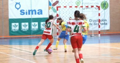 Fundación UAPO Granada FS