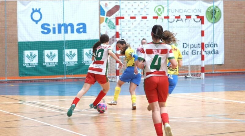 Fundación UAPO Granada FS